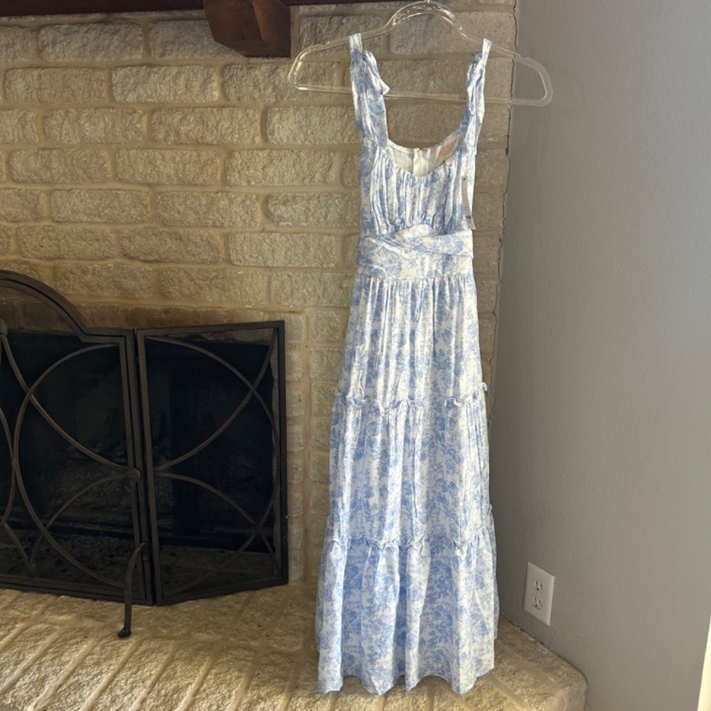 Francesca's Blue/White Floral Midi Dress